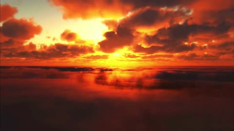 The sunset sky