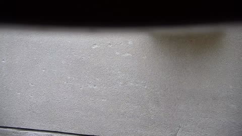 5182CHOB01CH06Exterior_2021-01-06_13h57min17s717ms.mp4
