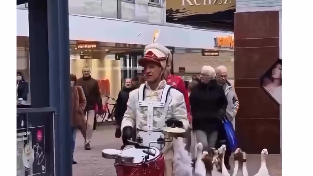 Funny parade day