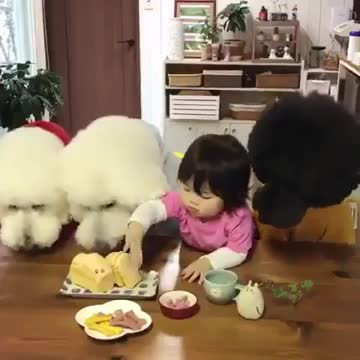BABY SHARING FOOD WITH DOG