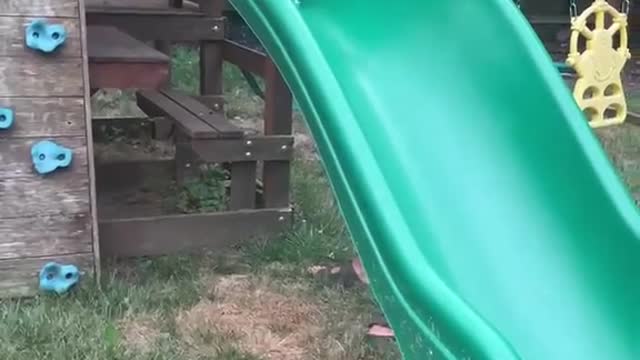 New house activities
