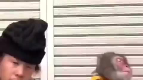😂😂
