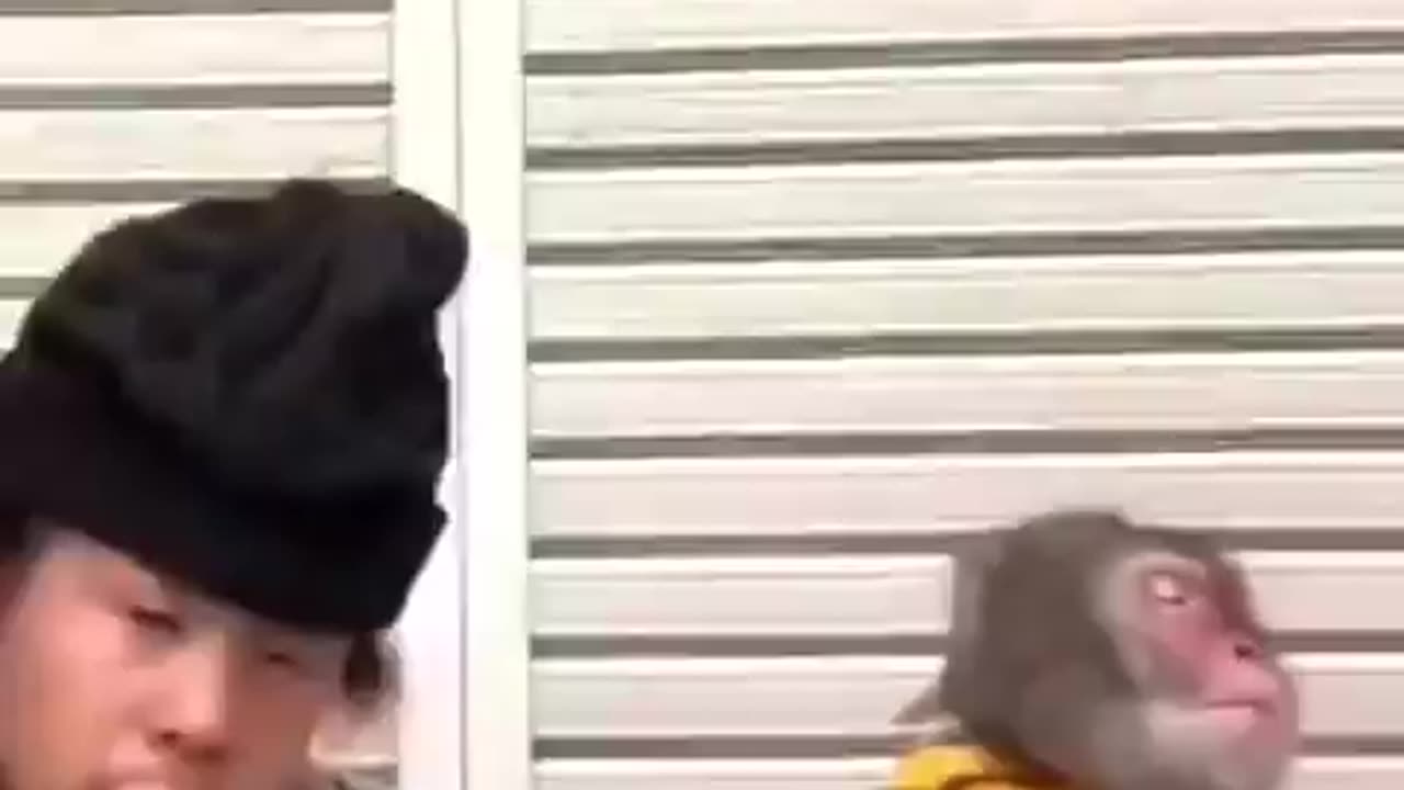 😂😂