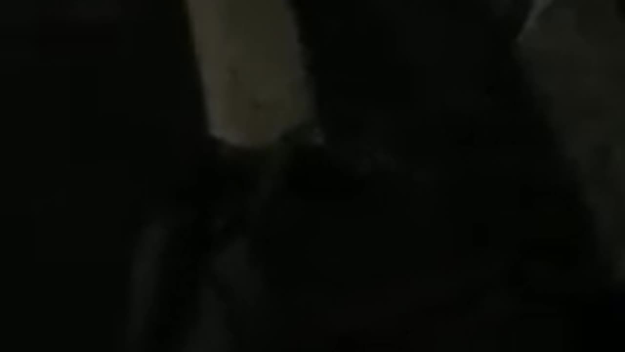 Play With Me If You Want Dicksucking Hoes