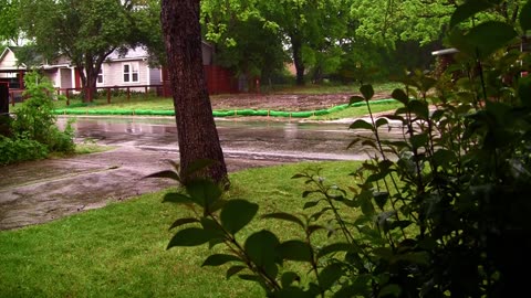 Rainy Day with Cars driving by.mp4