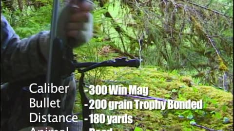 Trophy Black Bear!