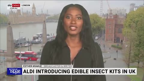ALDI the supermarket chain is considering selling edible insects to help families afford protein