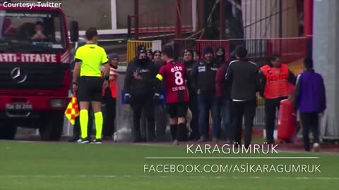 A football match get to a halt as a Dog takes over the control of the Ball.
