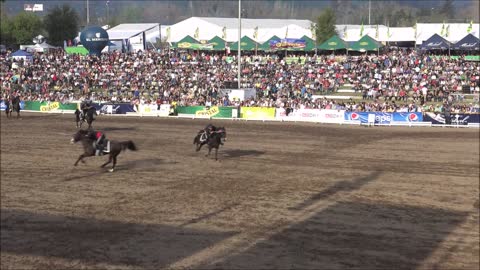 Black Box the Army horse show in Santiago, Chile