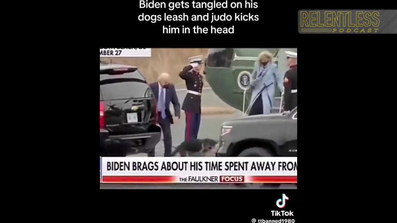 Video Surfaces of Joe Biden Kicking His Dog