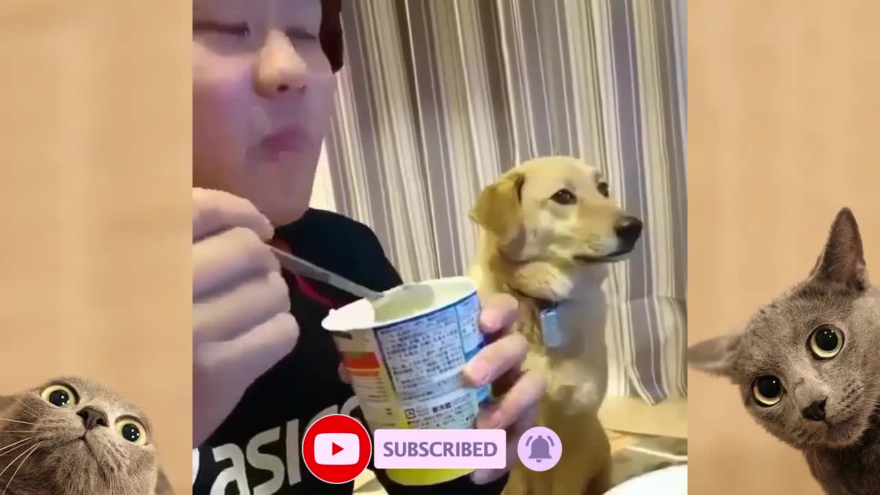 We know he wants that ice cream