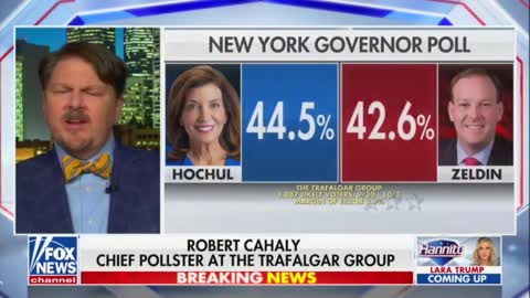 Pollsters Says They See GOP Winning Every Battleground Senate Race