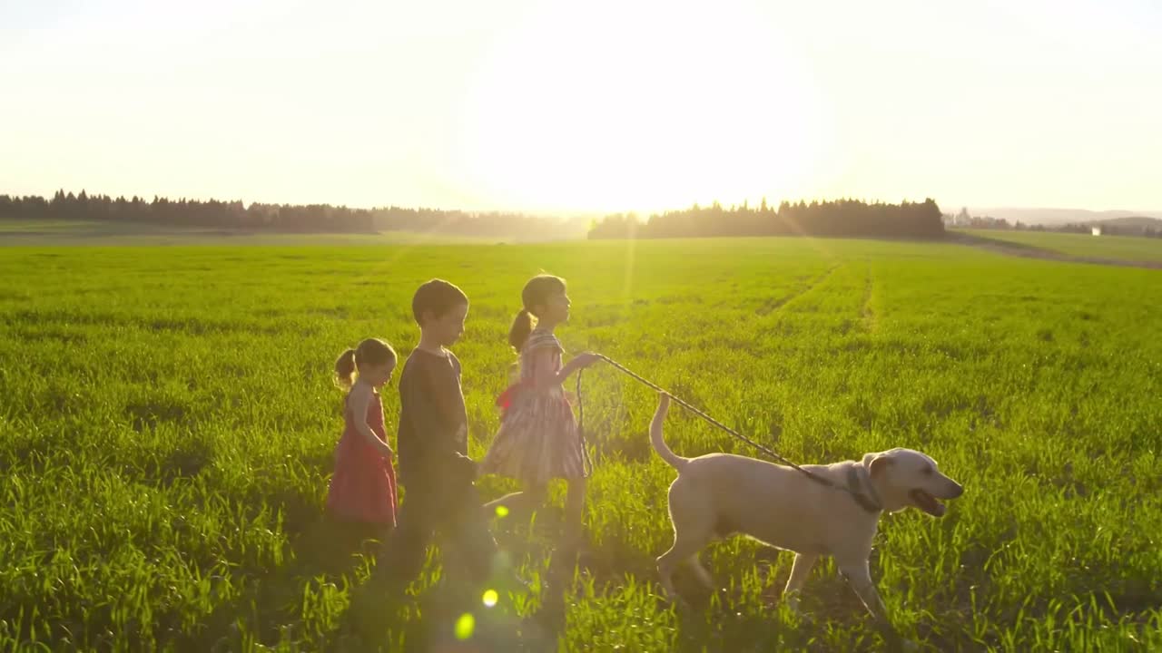 3 Adorable Kids Take A Dog For A Walk In The Field - Spring Time!