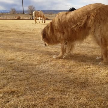 Max and Henry living it up