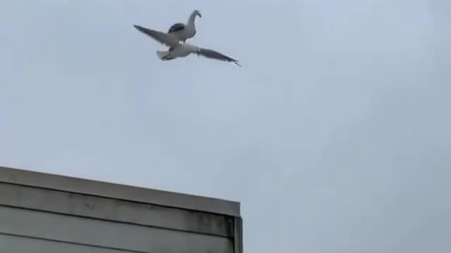 Friendship like this