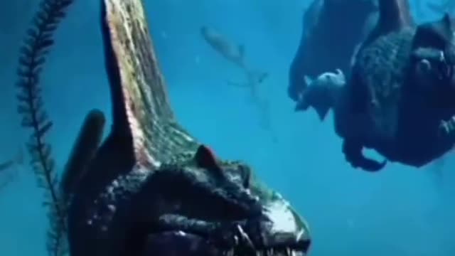 OMG What animal is this now 😯 #shorts #short #shortsfeed #youtubeshorts #animals #viral