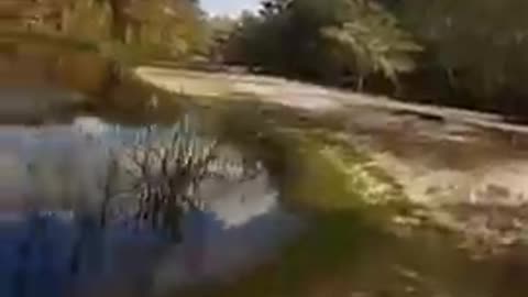 Beautiful_Amazing_short_Natural_Background_video_excellent_super cute.