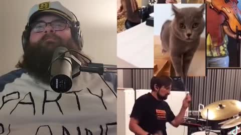 Som bom gatinho