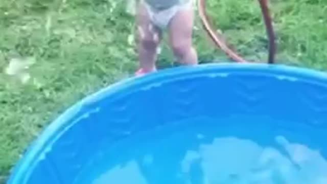 Funny Baby Videos (LOL)