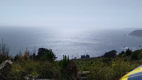 Foxy Roxy is with Mister at Stinson Beach