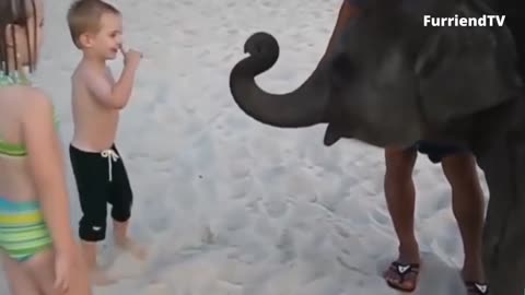 Jj and Her new Friend Baby Elephant