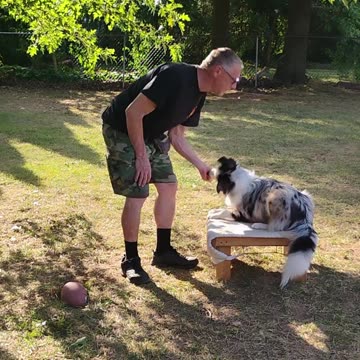 Structured Play Games Training and Practice 2a