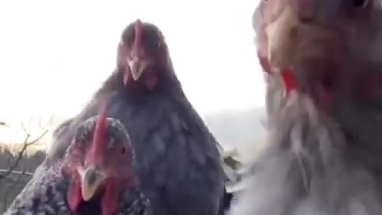 Conspiracy theorists right about now😎