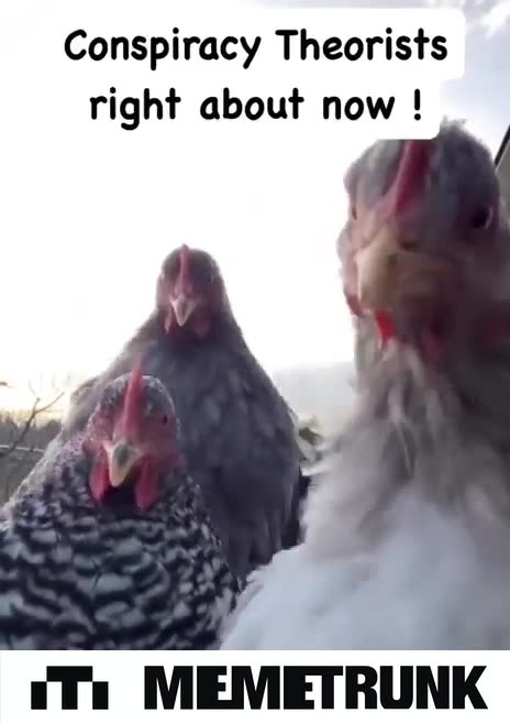 Conspiracy theorists right about now😎