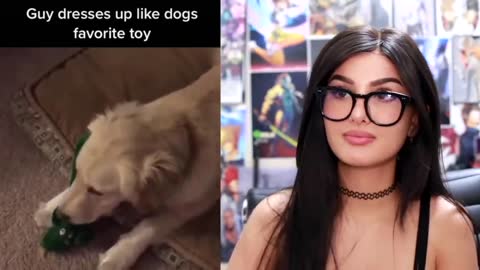 Cute Animals on Tik Tok That Will definitely Make You Laugh