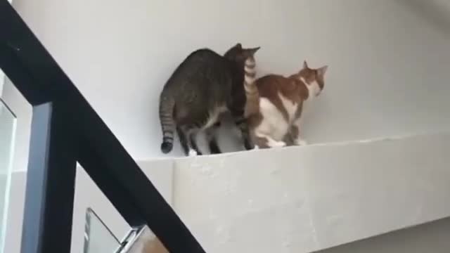 MISSION IMPOSSIBLE VIBES