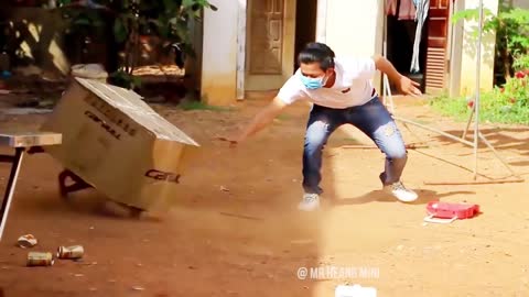 Best Funny Clips-super huge box vs two sleeping dogs