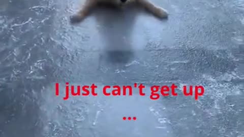 Cute little puppy Struggling to Get Up on Ice ☺!