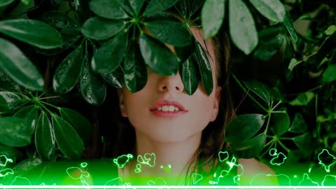 Wet Leaf | Relaxing Music - NCMC Track 16