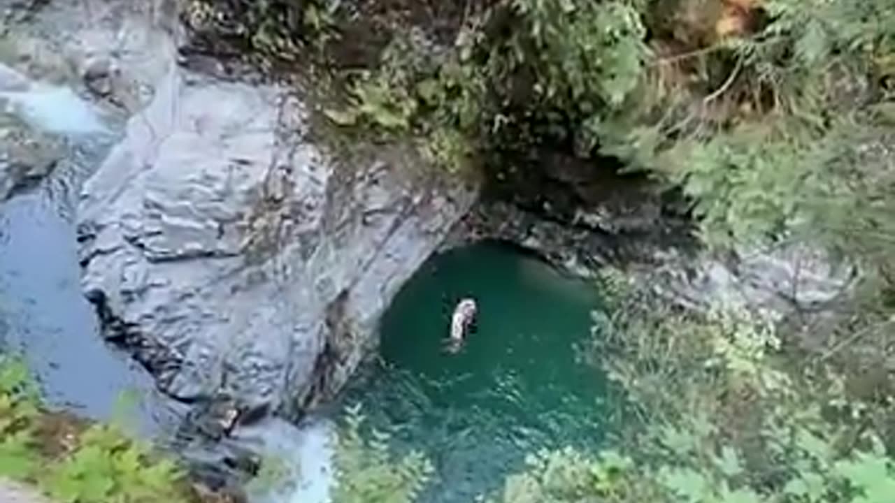 75 FOOT CLIFF DIVE 😨