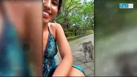animal funny video6