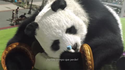 Tekken Tag Tournament 2 Video FInal Panda Español Castellano
