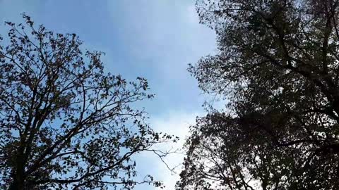 Himmel in Berlin am 29.10.2022 um 15:36 Uhr