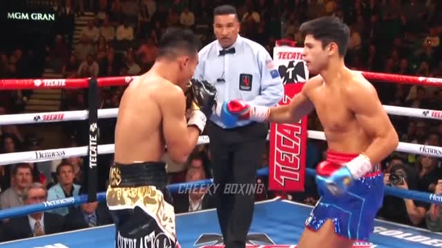 THESE RYAN GARCIAS PUNCHES SHOULD BE ILLEGAL