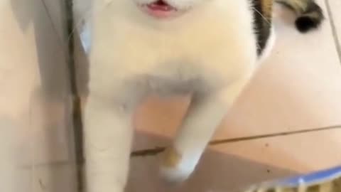 😂😂😂