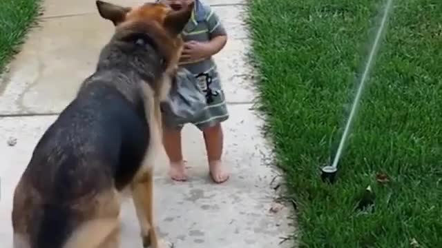Cute baby and dog play with water faucet and have fun