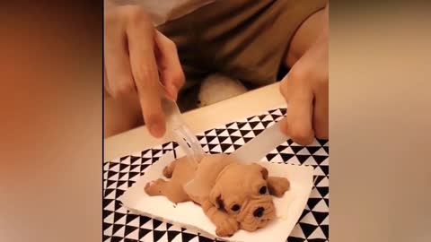 Perros interesante