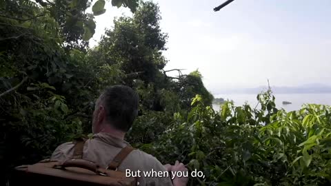 The Grandfather Backpack Case on Nyamunini Island