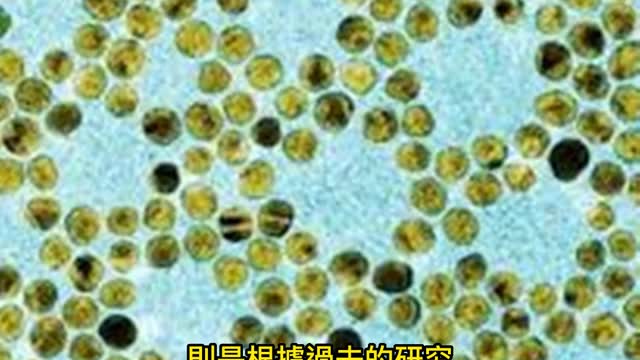 黃金奈米粒子 對抗細菌的抗藥性