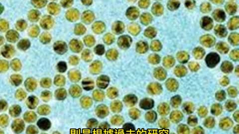 黃金奈米粒子 對抗細菌的抗藥性