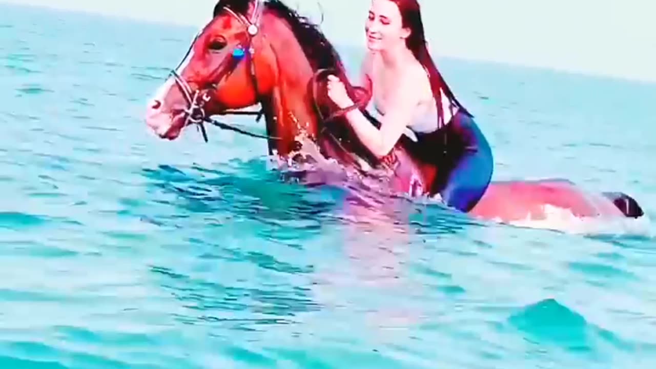 Dubai Desert Horse Racing
