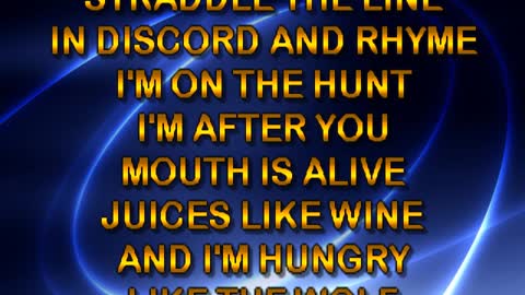 kbkaraokeking hungry like the wolf (duran)