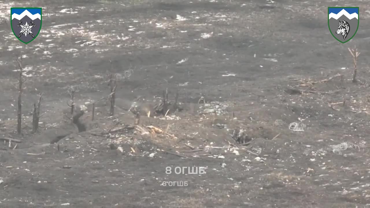 Edelweiss: One Ukrainian with the help of a drone fights a group of useless russians