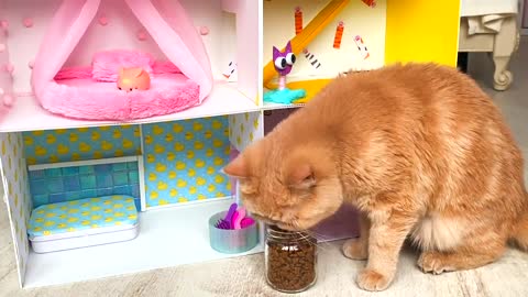 RESCUE the Smallest KITTEN in the World !! And building a New HOUSE for CAT instantly.