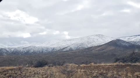 Driving in a Mayer Wonderland