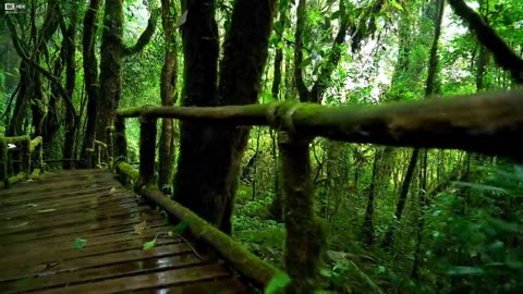 COSTA RICA 8K Video Ultra HD 60FPS Dolby Vision - YouTube